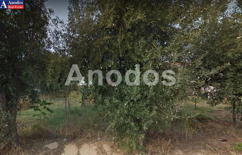 Οικόπεδο 2.500τ.μ. για πώληση-Μεταμόρφωση » Κέντρο