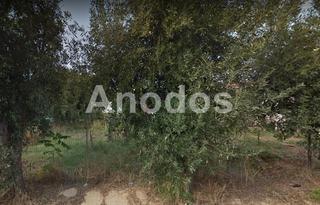 Land plot 2.500 sqm for rent