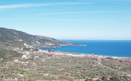Αγροτεμάχια 4.100τ.μ. για πώληση-Θάσος » Χρυσή αμμουδιά