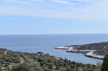 Αγροτεμάχια 9.200τ.μ. για πώληση-Θάσος » Αστρίδα