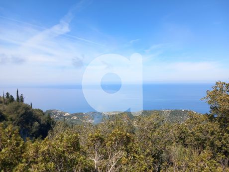 Parcel 4.500sqm for sale-Lefkada » Apollonio