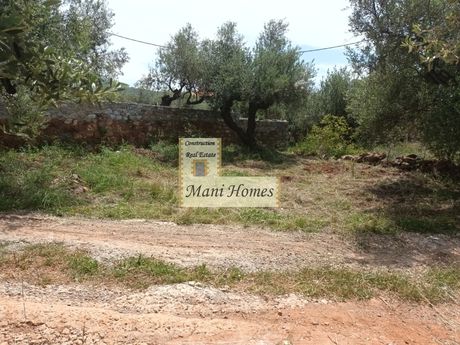 Οικόπεδο 800τ.μ. για πώληση-Λεύκτρος » Ρίγκλια
