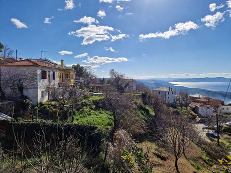 Detached home 160sqm for sale-Milies » Stavrodromi