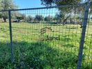 Land plot 3.000sqm for rent-Messatida » Demenika