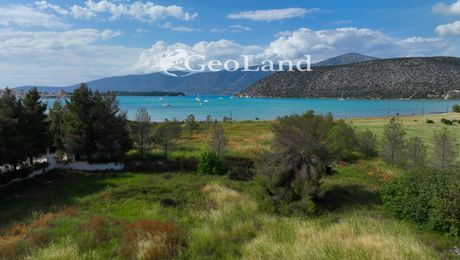 Αγροτεμάχια 4.505τ.μ. για πώληση-Κρανίδι » Κοιλάδα
