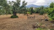 Land plot 750sqm for sale-Patra » Perivolia