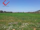 Parcel 18.500sqm for sale-Kalivia Thorikou » Lagonisi