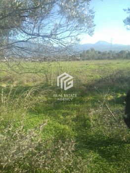 Αγροτεμάχια 7.063τ.μ. για πώληση-Κόρινθος » Αγία άννα