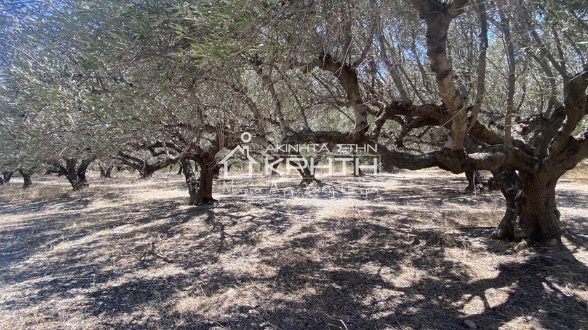 Land plot 4.222 sqm for sale