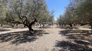 Οικόπεδο 4.222 τ.μ. για πώληση, Ν. Λασιθίου, Ιεράπετρα-thumb-1