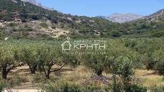 Οικόπεδο 4.222 τ.μ. για πώληση, Ν. Λασιθίου, Ιεράπετρα-thumb-3