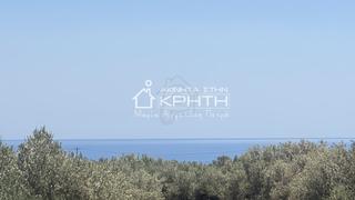 Οικόπεδο 4.222 τ.μ. για πώληση, Ν. Λασιθίου, Ιεράπετρα-thumb-4