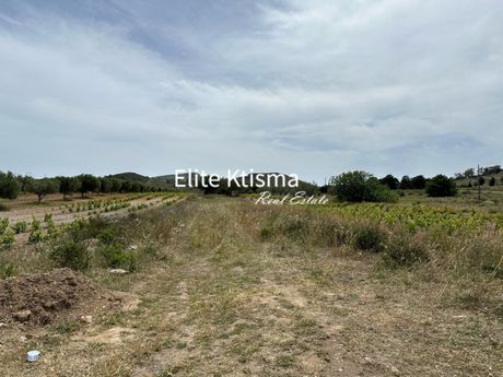 Αγροτεμάχια 3.000τ.μ. για πώληση-Κερατέα » Μανούτσο