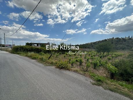 Αγροτεμάχια 1.050τ.μ. για πώληση-Κορωπί » Κέντρο
