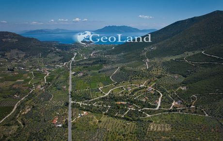 Αγροτεμάχια 1.263τ.μ. για πώληση-Επίδαυρος » Επάνω επίδαυρος