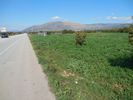Land plot 3.600sqm for sale-Midea » Poullakida