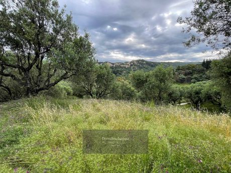 Parcel 4.019sqm for sale-Vrachneika » Tsoukaleika