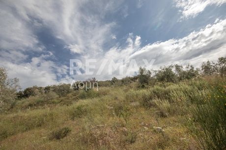 Parcel 15.511sqm for sale-Aisonia » Dimini