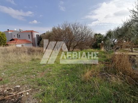 Land plot 775sqm for sale-Chios » Omiroupoli