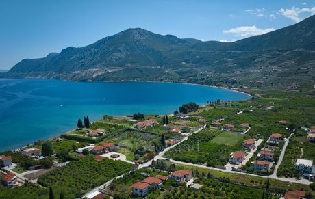 Αγροτεμάχια 2.200τ.μ. για πώληση-Επίδαυρος » Αρχαία επίδαυρος