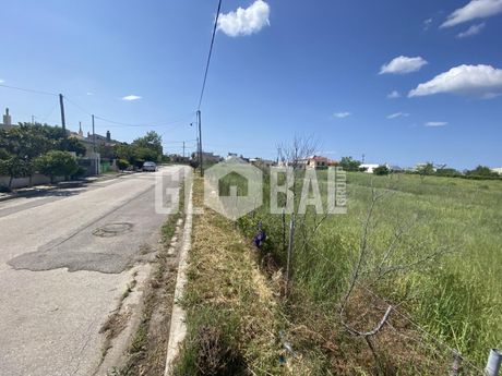 Οικόπεδο 435τ.μ. για πώληση-Ωραιόκαστρο » Κέντρο