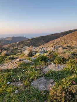Αγροτεμάχια 5.044τ.μ. για πώληση-Κέα » Τζια