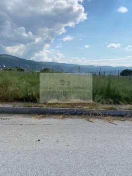 Οικόπεδο 1.100τ.μ. για πώληση-Παληόκαστρο » Παλαιόπυργος