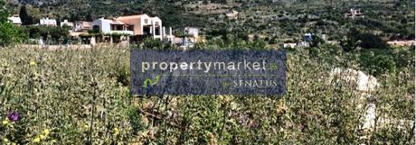 Οικόπεδο 1.535τ.μ. για πώληση-Γεωργιούπολη » Καλαμίτσι αμυγδάλι