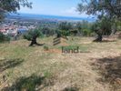 Land plot 730sqm for sale-Patra » Karia