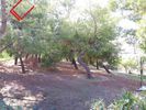 Land plot 230sqm for sale-Patision - Acharnon » Agios Panteleimonas