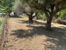 Land plot 312sqm for sale-Messatida » Demenika