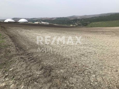Parcel 25.000sqm for sale-Polidamantas » Ano Vasilika