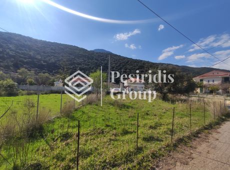 Οικόπεδο 330τ.μ. για πώληση-Χάλκεια » Κάτω βασιλική