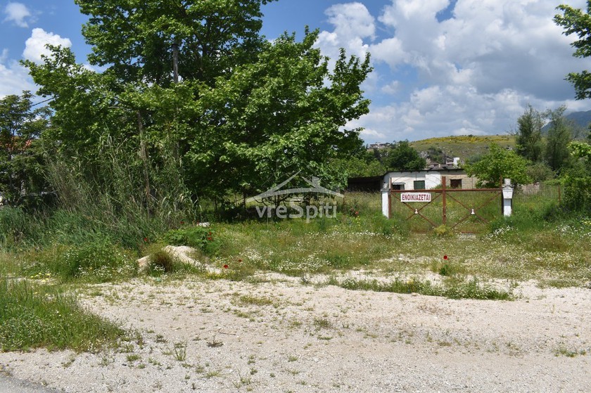 Other 1.852sqm for rent-Ioannina