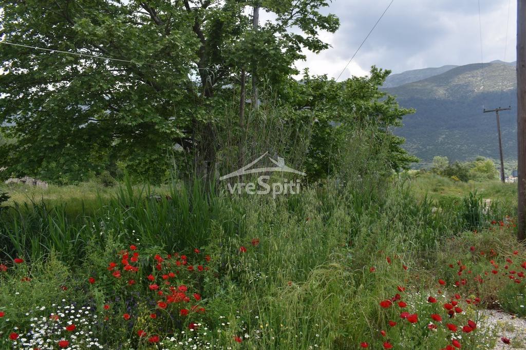 Parcel 1.852 sqm for rent, Ioannina Prefecture, Perama