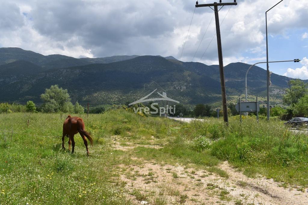 Parcel 1.852 sqm for rent, Ioannina Prefecture, Perama
