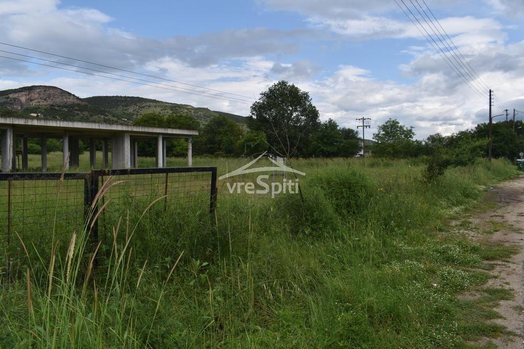 Αγροτεμάχια 5.200 τ.μ. προς ενοικίαση, Ν. Ιωαννίνων, Ιωάννινα