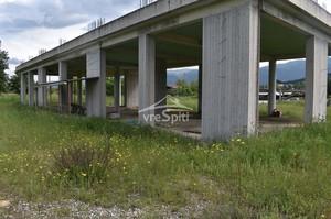 Αγροτεμάχια 5.200 τ.μ. για ενοικίαση, Ν. Ιωαννίνων, Ιωάννινα-thumb-11