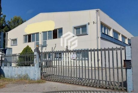 Βιοτεχνικός χώρος 1.232τ.μ. για πώληση-Εχέδωρος » Σίνδος