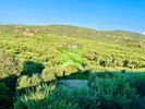 Οικόπεδο 1.083τ.μ. για πώληση-Κολυμβάρι » Καλυδονία