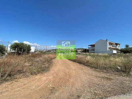 Land plot 952sqm for sale-Kissamos » Agios Antonios