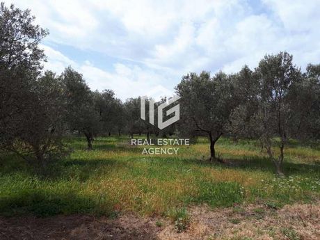 Οικόπεδο 7.772τ.μ. για πώληση-Βοϊων » Άγιος γεώργιος