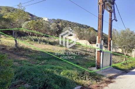 Οικόπεδο 1.236τ.μ. για πώληση-Μαρκόπουλο » Χαμολιά