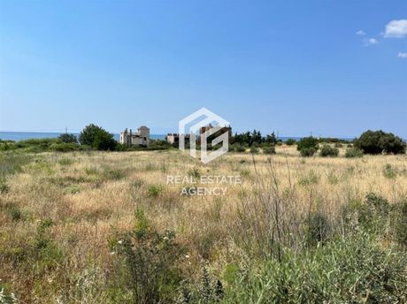 Αγροτεμάχια 4.087τ.μ. για πώληση-Αλεξανδρούπολη » Νέα χιλή
