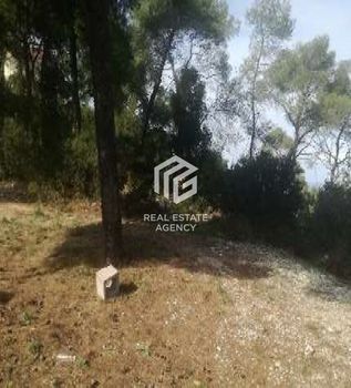Οικόπεδο 1.168τ.μ. για πώληση-Σολύγεια » Φραγκολίμανο