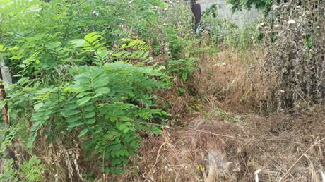 Land plot 200sqm for sale-Agios Athanasios » Nea Mesimvria