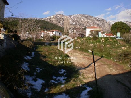 Οικόπεδο 1.016τ.μ. για πώληση-Ιωλκός » Άγιος ονούφριος