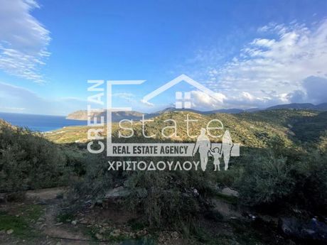 Parcel 4.000sqm for sale-Ierapetra » Kavousi