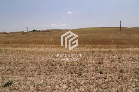 Αγροτεμάχια 106.088τ.μ. για πώληση-Νίκαια » Κέντρο