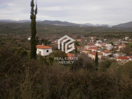Οικόπεδο 1.006τ.μ. για πώληση-Πτελεός » Αχίλλειο